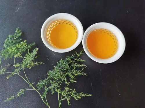 遇見興海茶業2020年人和五星