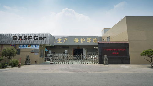 德國(guó) 巴斯夫漆中國(guó) 巴斯夫廣州,上海廠家介紹