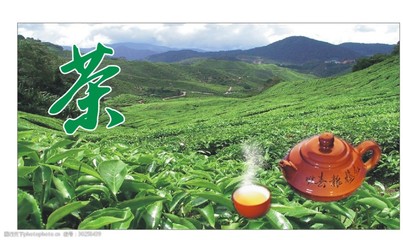 茶業茶行背景