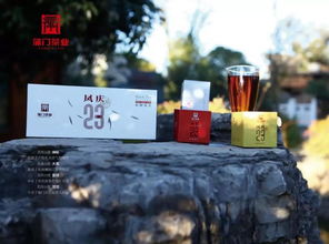 蒲門茶業將亮相6月沈陽茶博會