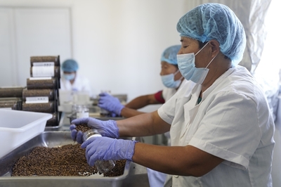 同濟高材生種田賣貨 5個月長成蘇寧拼購明星店