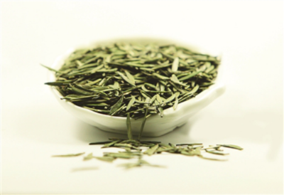 四川宜賓高縣 立足生態(tài)優(yōu)勢，做強(qiáng)茶產(chǎn)業(yè)，譜寫鄉(xiāng)村振興新篇章